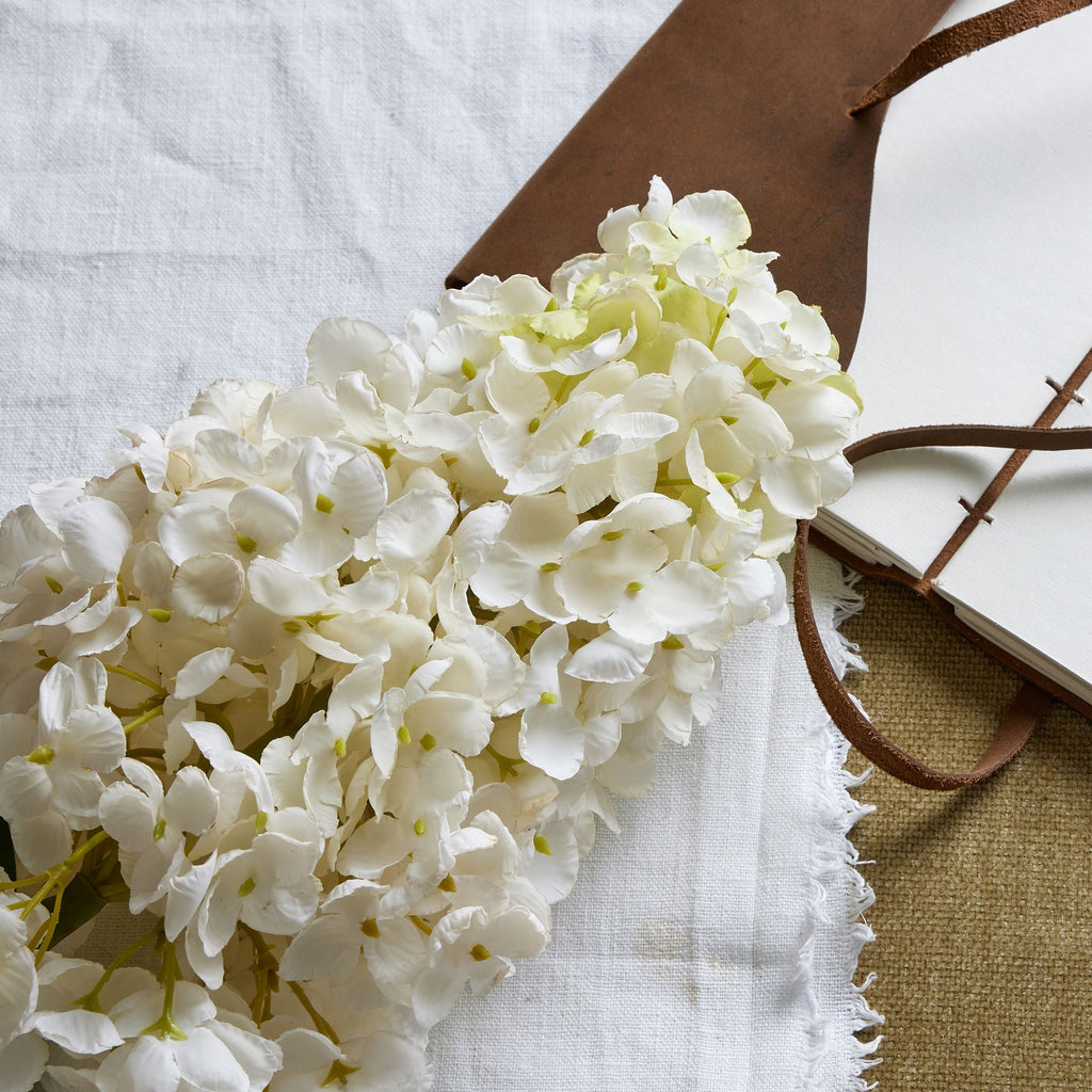 White Spear Hydrangea – alternate view 2