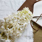 White Spear Hydrangea – alternate view 2