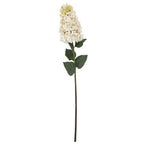 White Spear Hydrangea – alternate view 4
