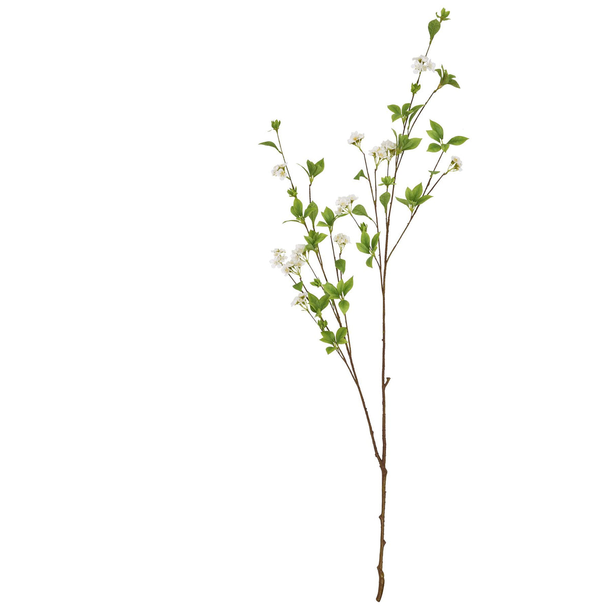 Tall Mock Orange Spray – alternate view 4