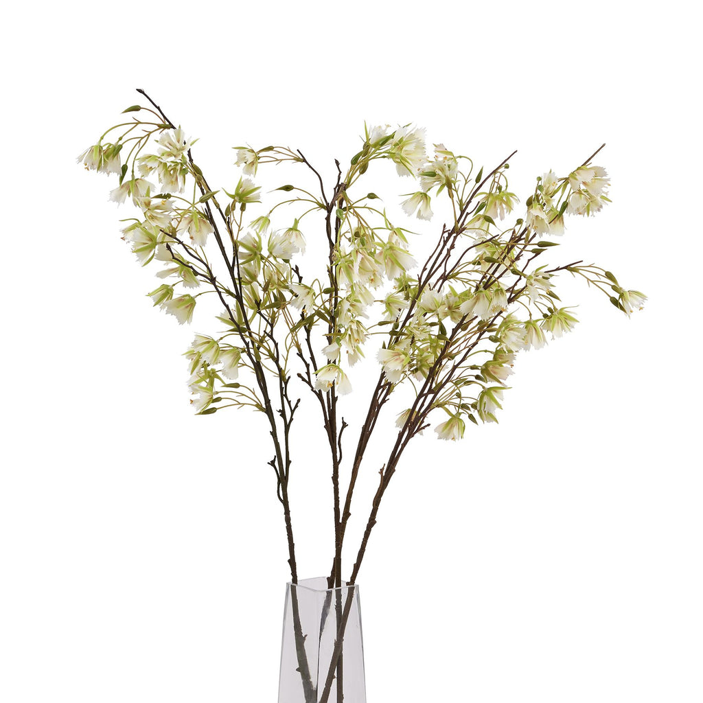 Elaeocarpus Stem – alternate view 5