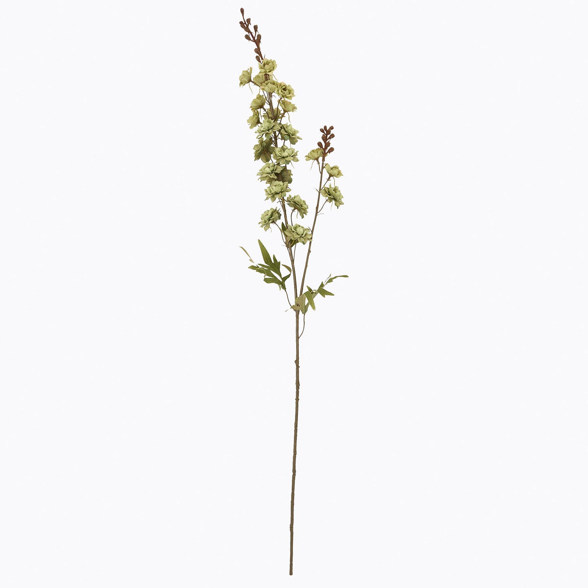 Tall Green Hops Stem – alternate view 4