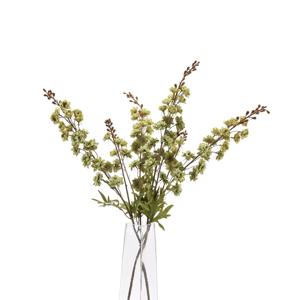 Tall Green Hops Stem – alternate view 5