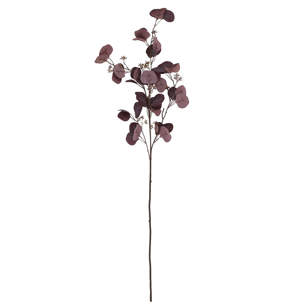 Burgundy Berried Eucalyptus – alternate view 4
