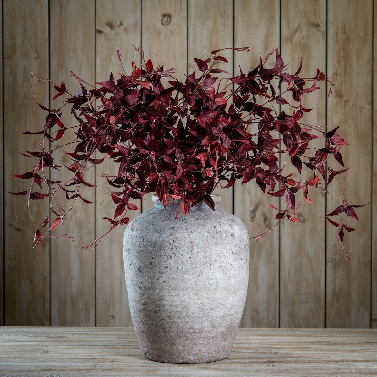 Ornamental Burgundy Leaf – alternate view 2