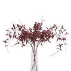 Ornamental Burgundy Leaf – alternate view 3
