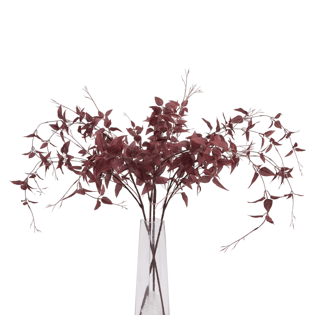 Ornamental Burgundy Leaf – alternate view 3