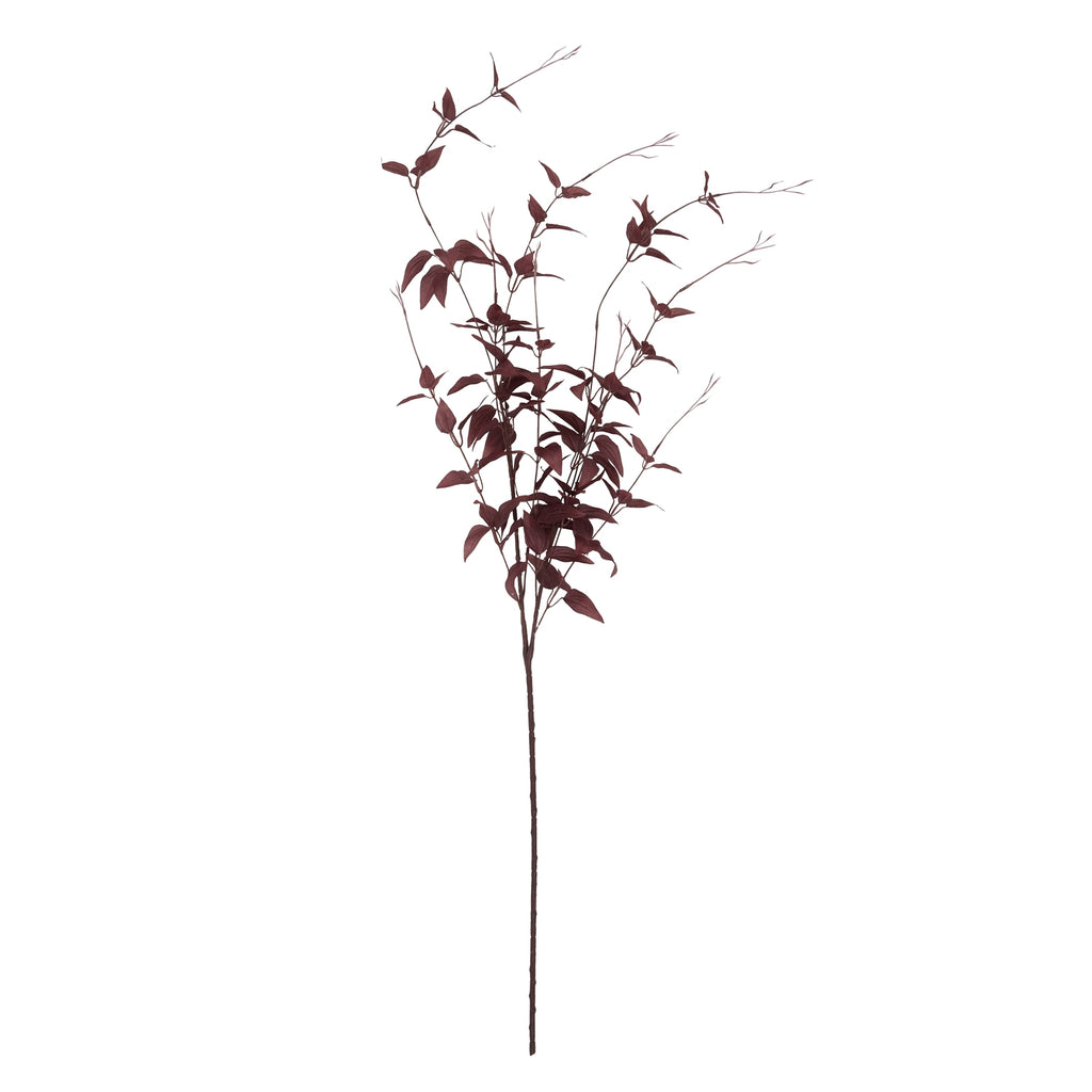 Ornamental Burgundy Leaf – alternate view 4