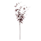 Ornamental Burgundy Leaf – alternate view 4