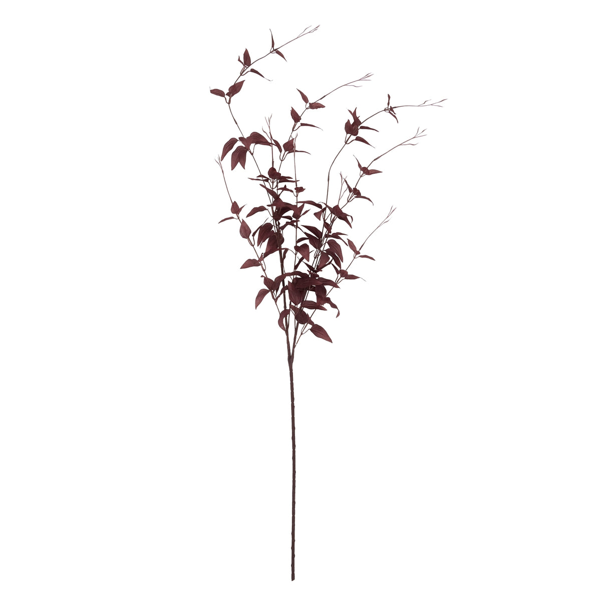 Ornamental Burgundy Leaf – alternate view 4