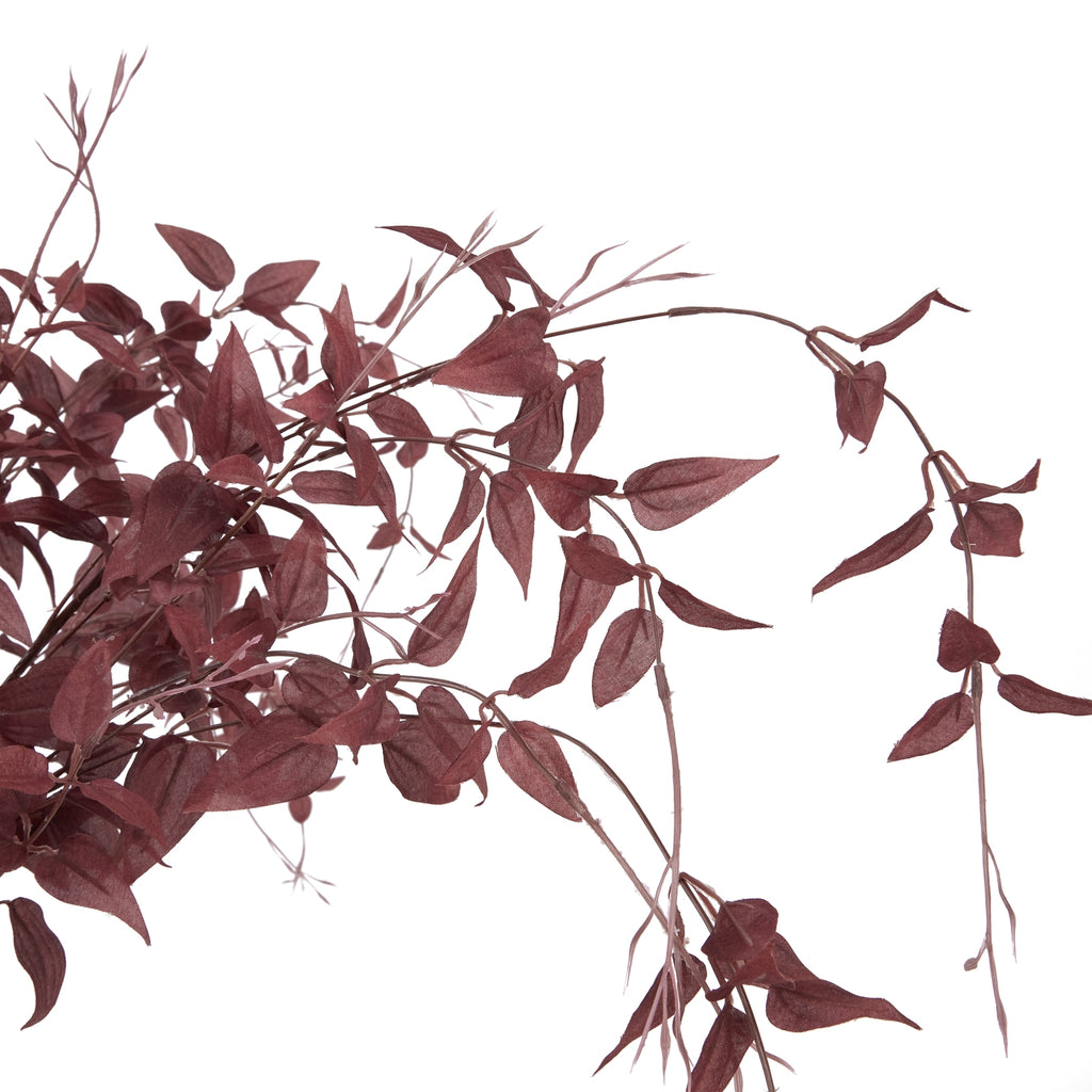 Ornamental Burgundy Leaf – alternate view 5