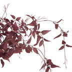 Ornamental Burgundy Leaf – alternate view 5