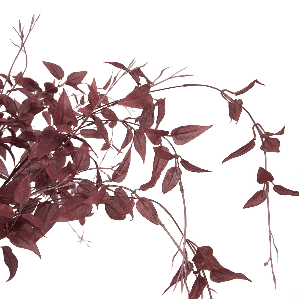 Ornamental Burgundy Leaf – alternate view 5