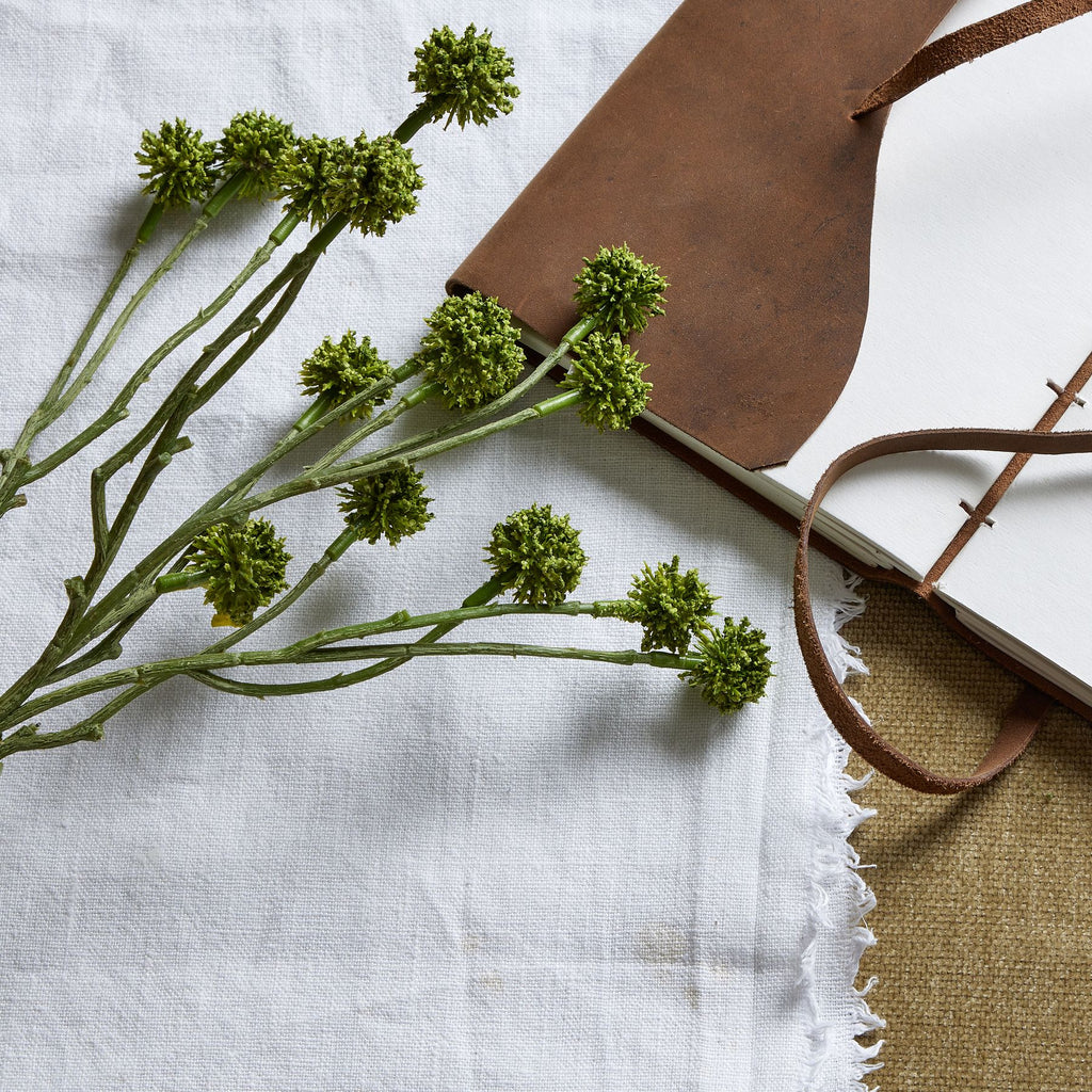 Green Craspedia Stem – alternate view 2