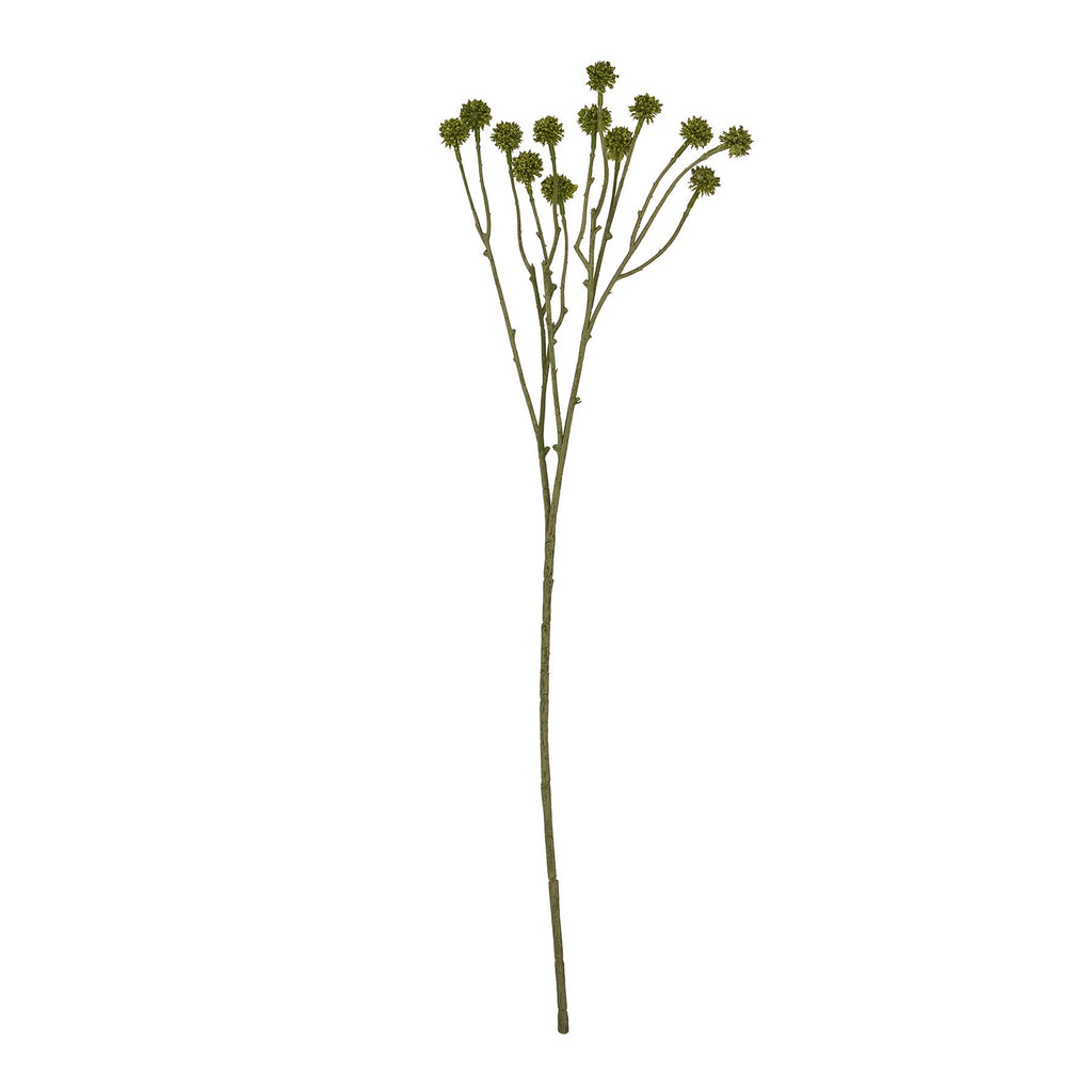 Green Craspedia Stem – alternate view 4