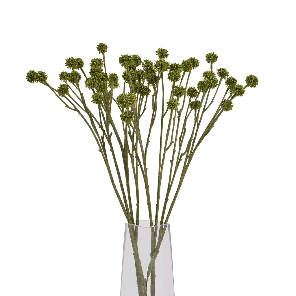 Green Craspedia Stem – alternate view 5