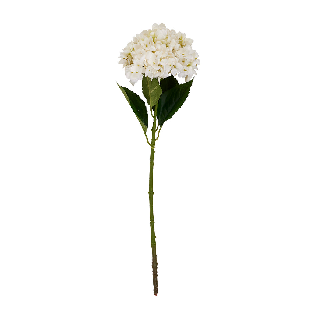 White Hydrangea Stem – alternate view 2