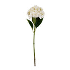 White Hydrangea Stem – alternate view 2