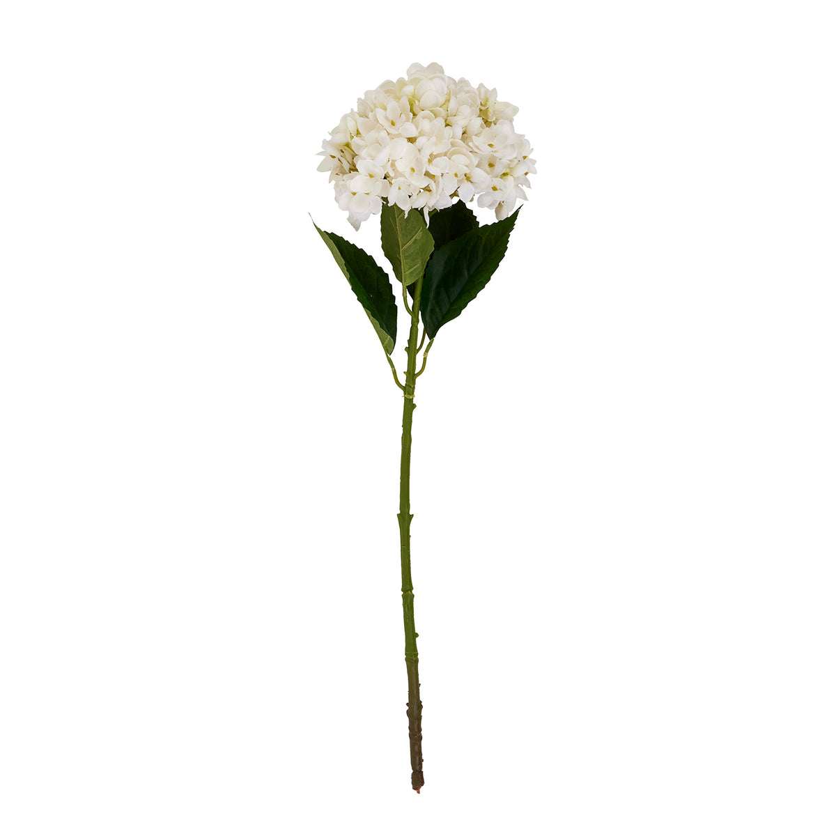 White Hydrangea Stem – alternate view 2