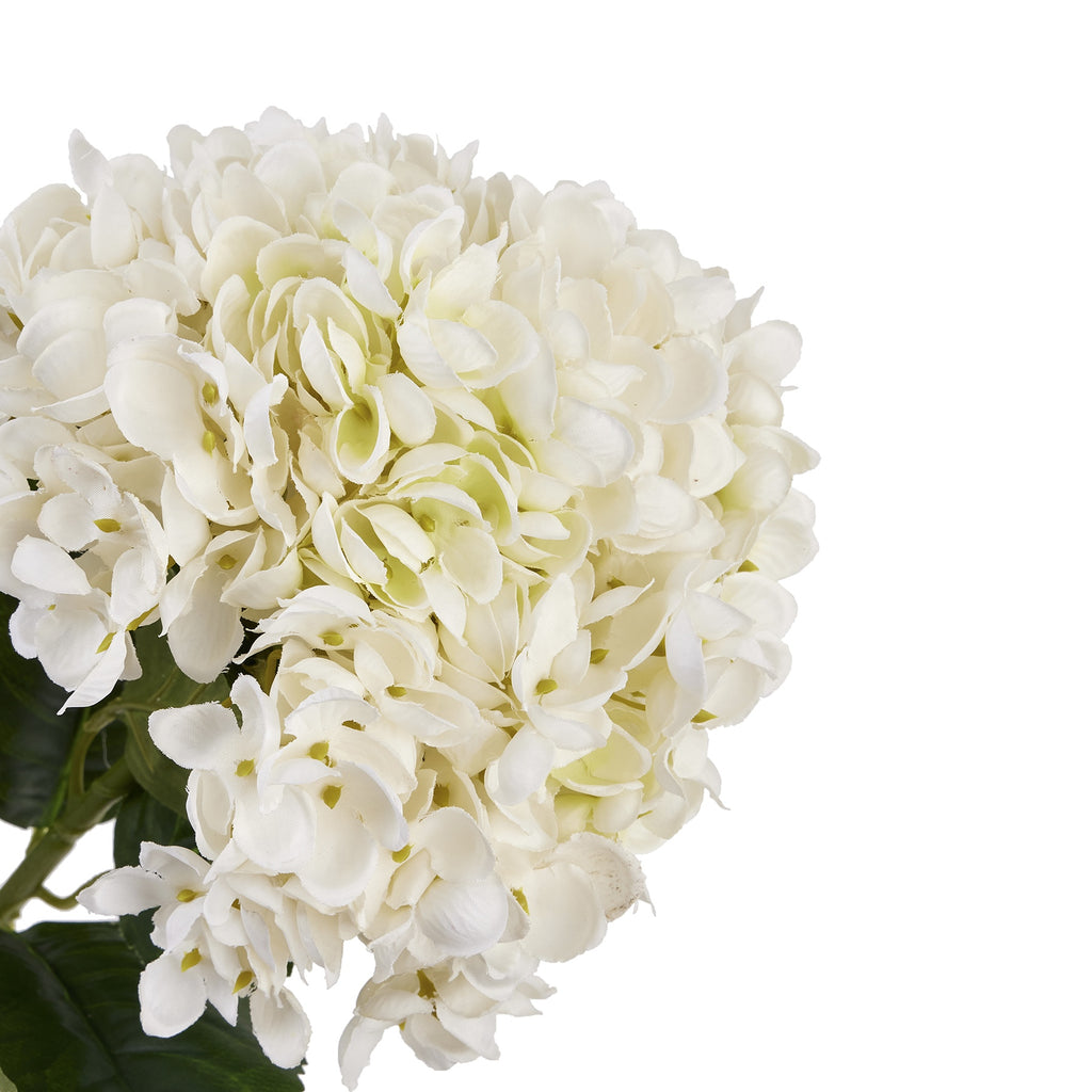 White Hydrangea Stem – alternate view 3