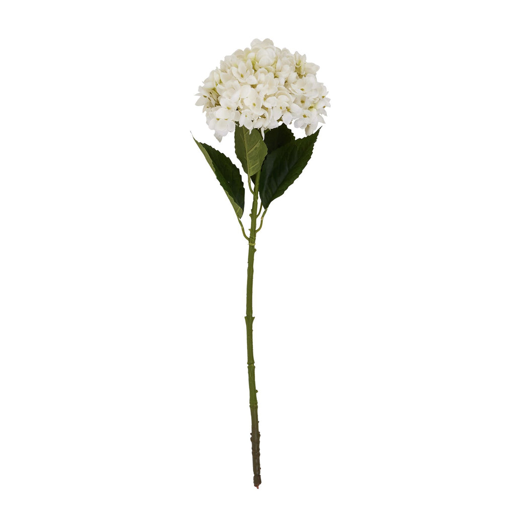 White Hydrangea Stem – alternate view 4