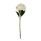 White Hydrangea Stem – alternate view 4
