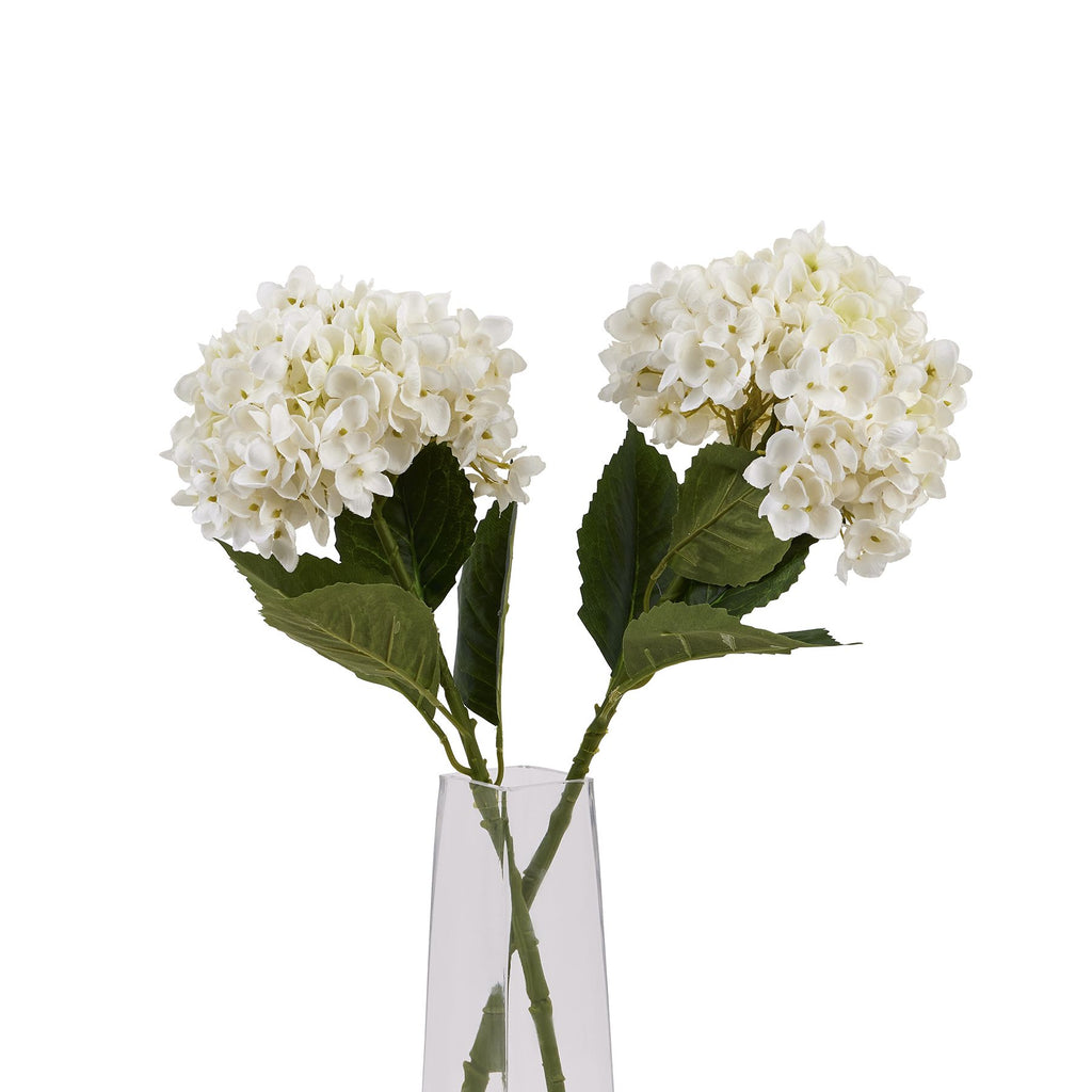 White Hydrangea Stem – alternate view 5