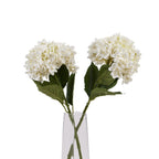 White Hydrangea Stem – alternate view 5
