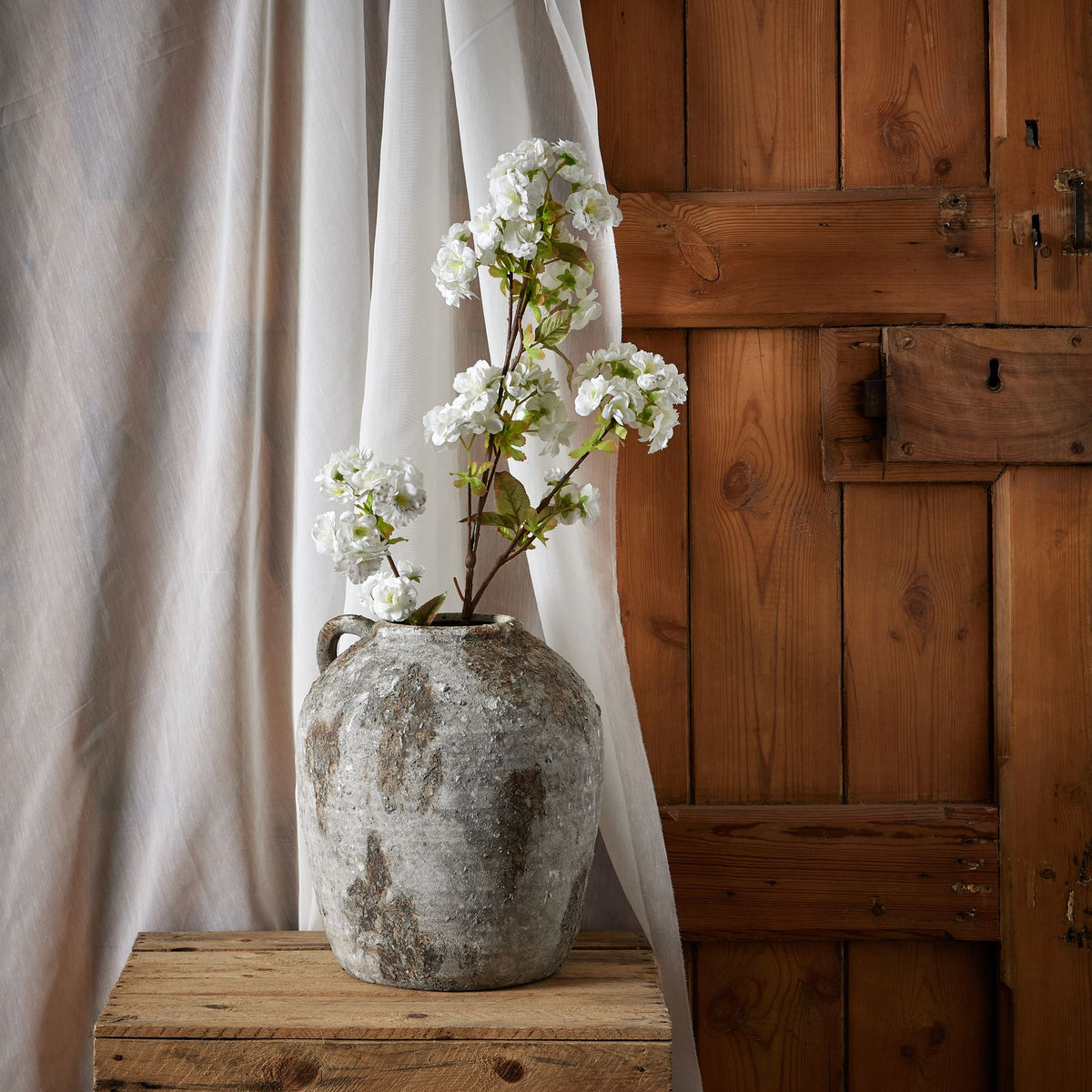Tall White Blossom – alternate view 3