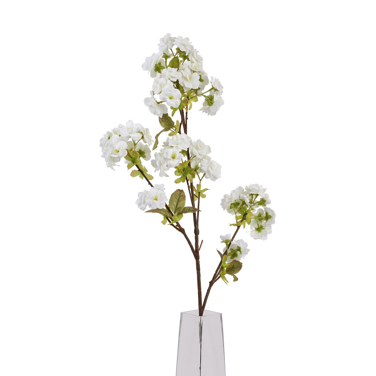 Tall White Blossom – alternate view 5