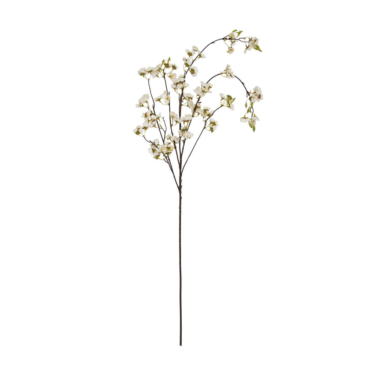 White Japanese Blossom – alternate view 4