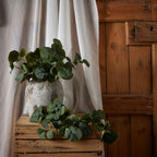 Short Eucalyptus Bunch – alternate view 3
