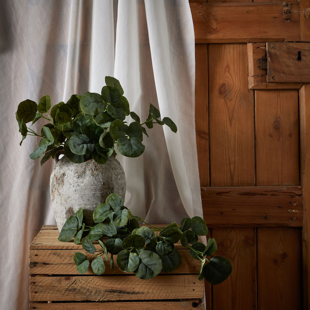 Short Eucalyptus Bunch – alternate view 3