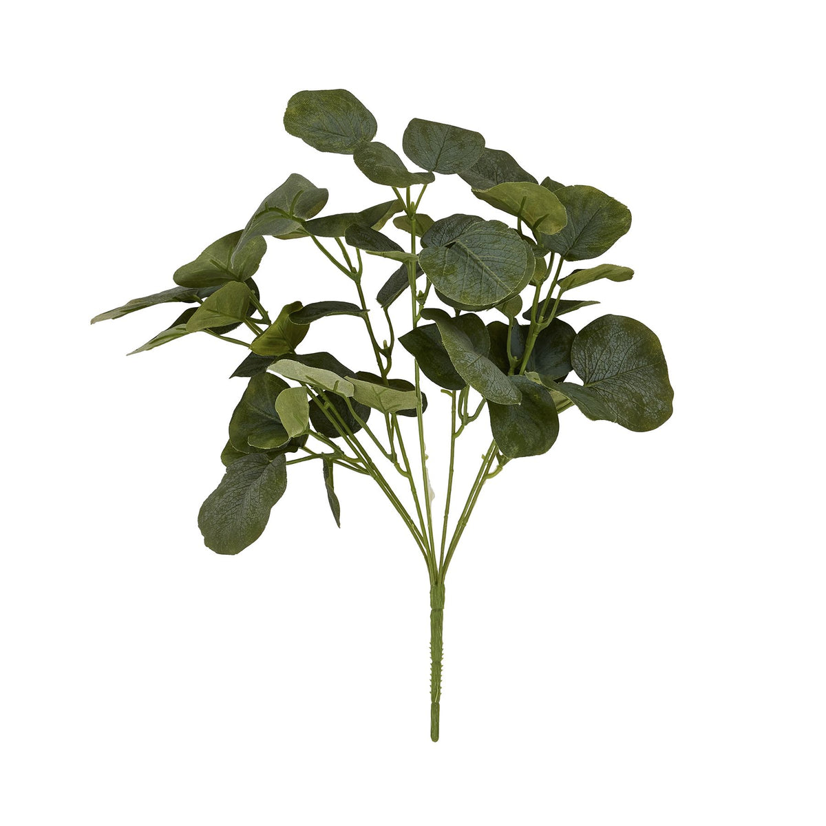 Short Eucalyptus Bunch – alternate view 4