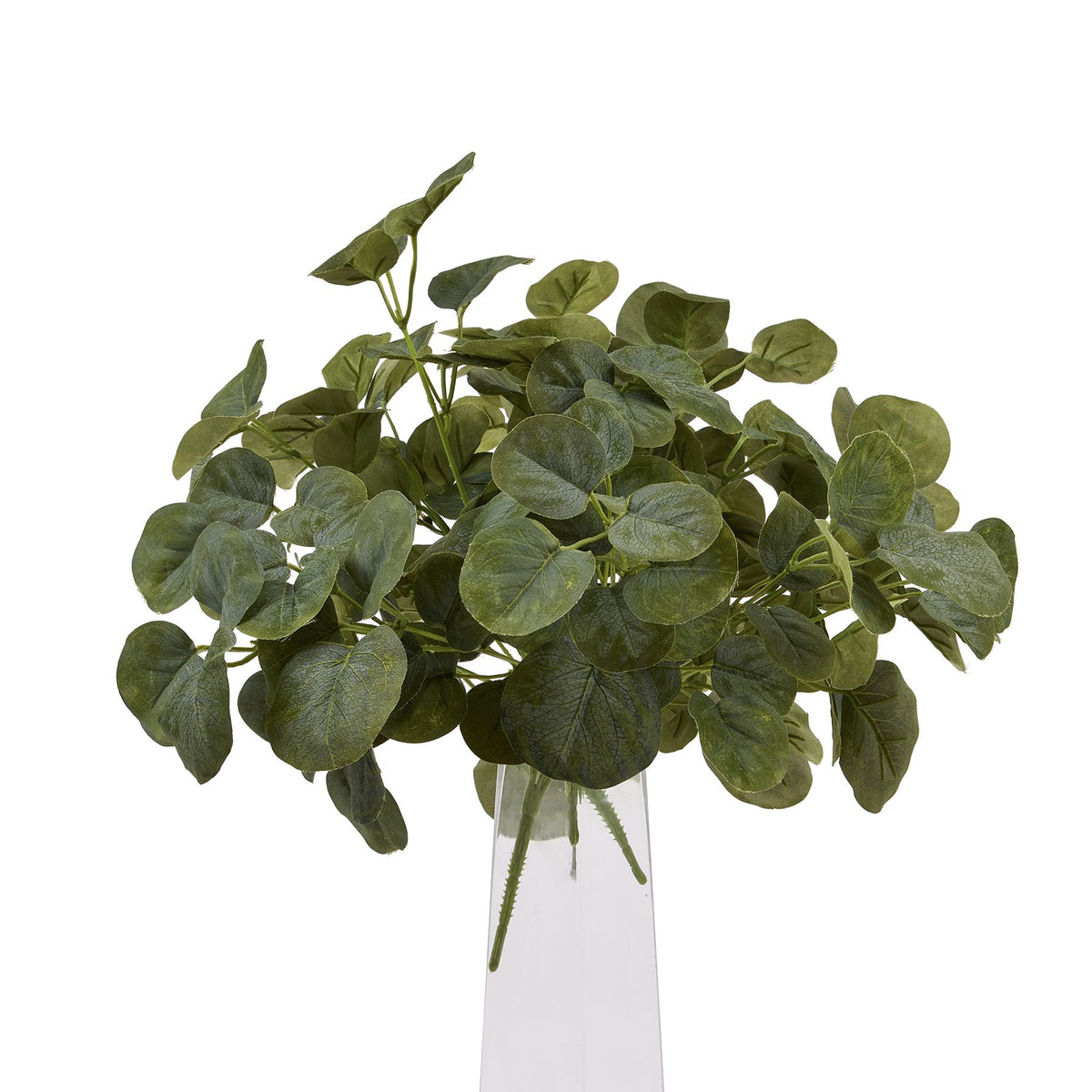 Short Eucalyptus Bunch – alternate view 5