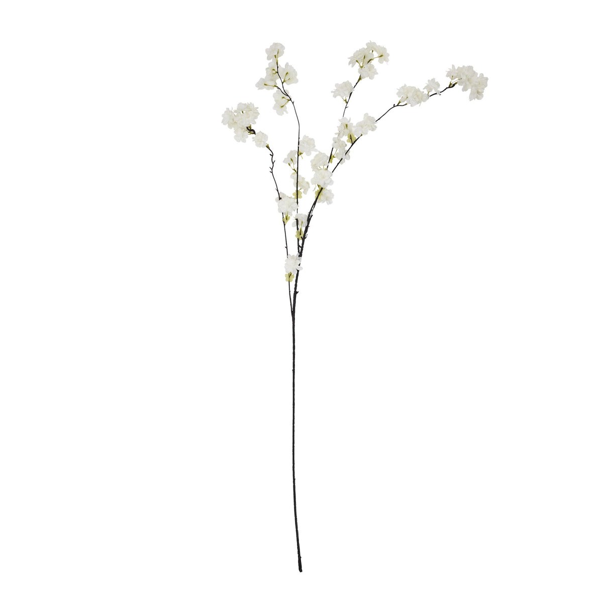 Large White Cherry Blossom Stem – alternate view 2