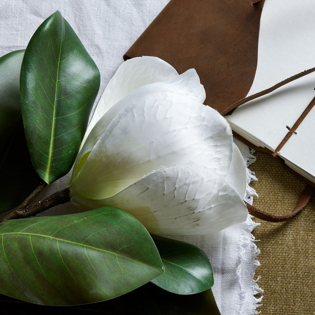 White Magnolia Stem – alternate view 2