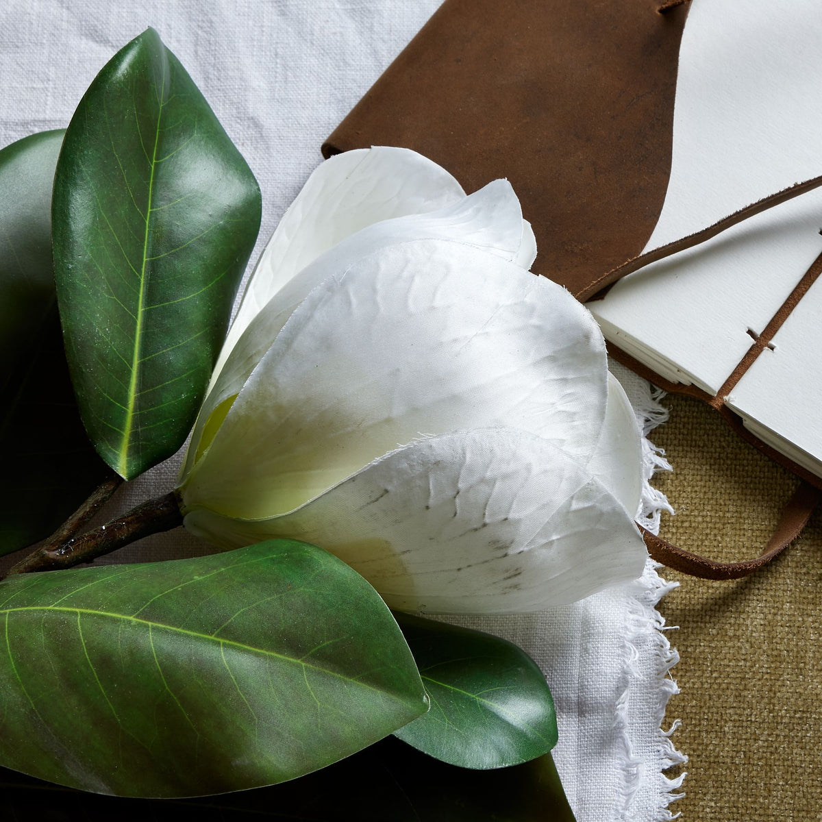 White Magnolia Stem – alternate view 2