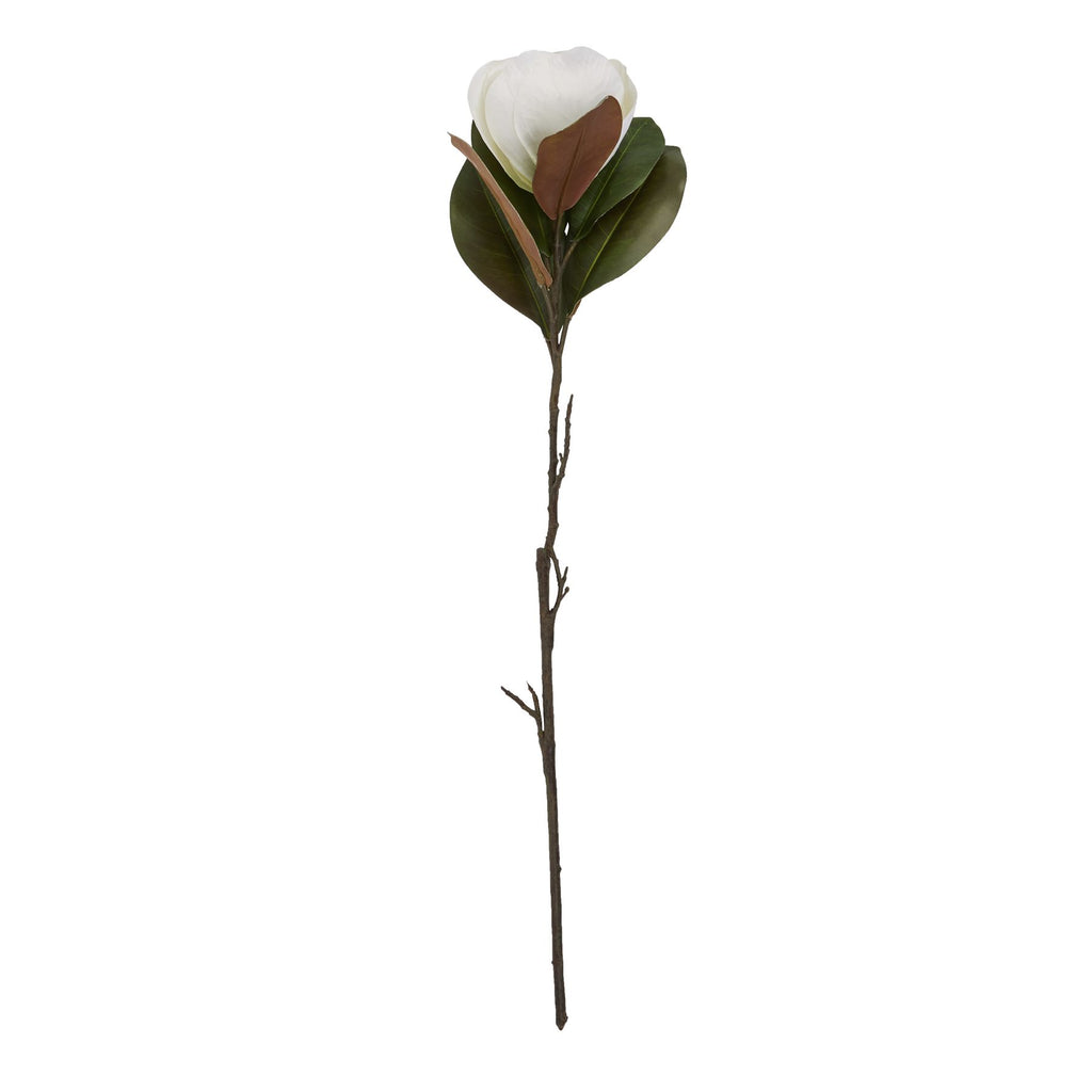 White Magnolia Stem – alternate view 4