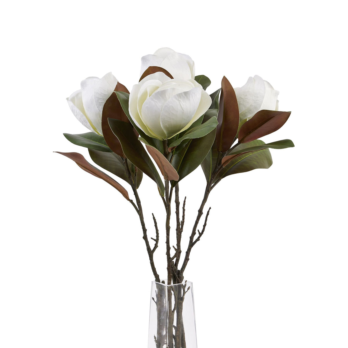 White Magnolia Stem – alternate view 5