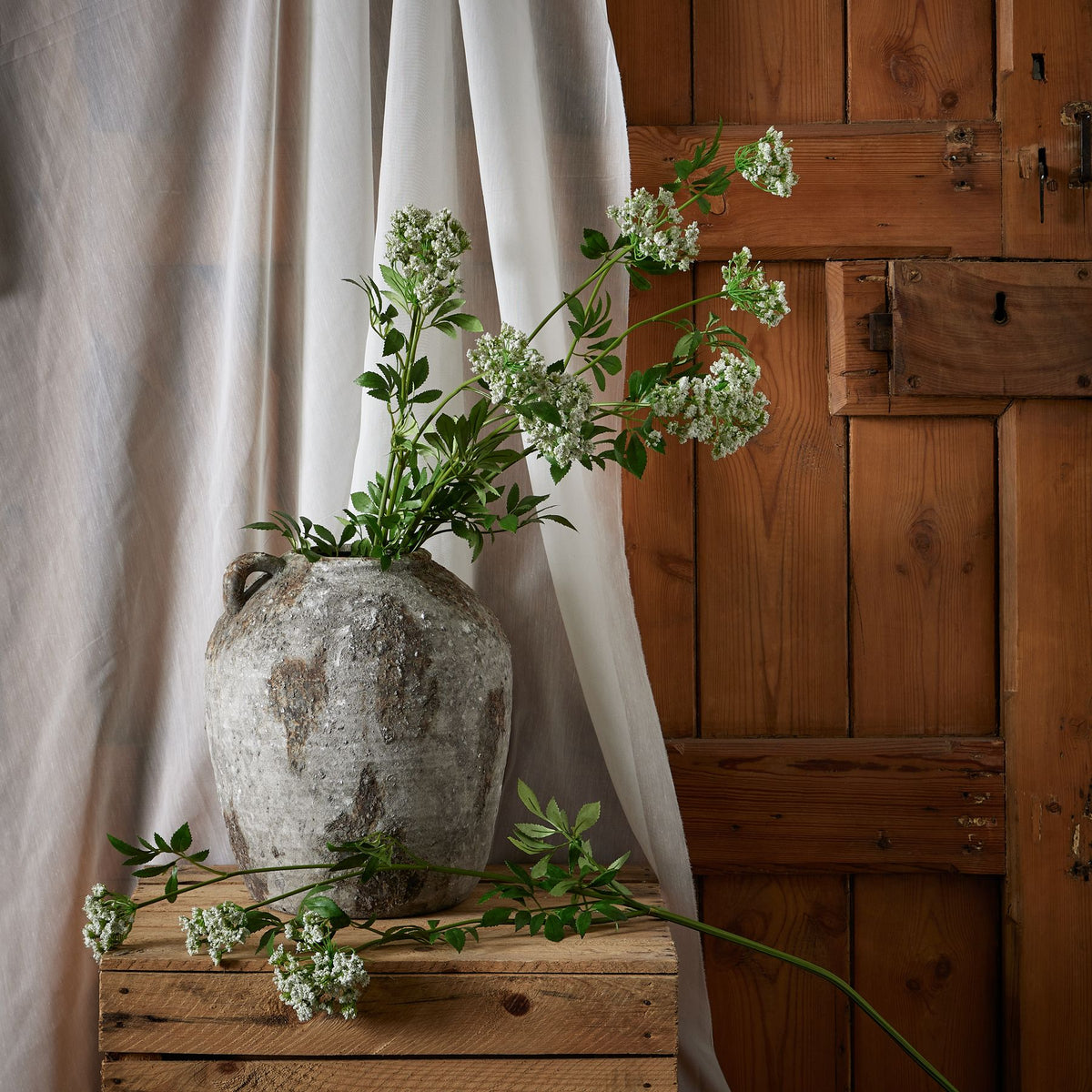 Faux White Cow Parsley Ammi – alternate view 3