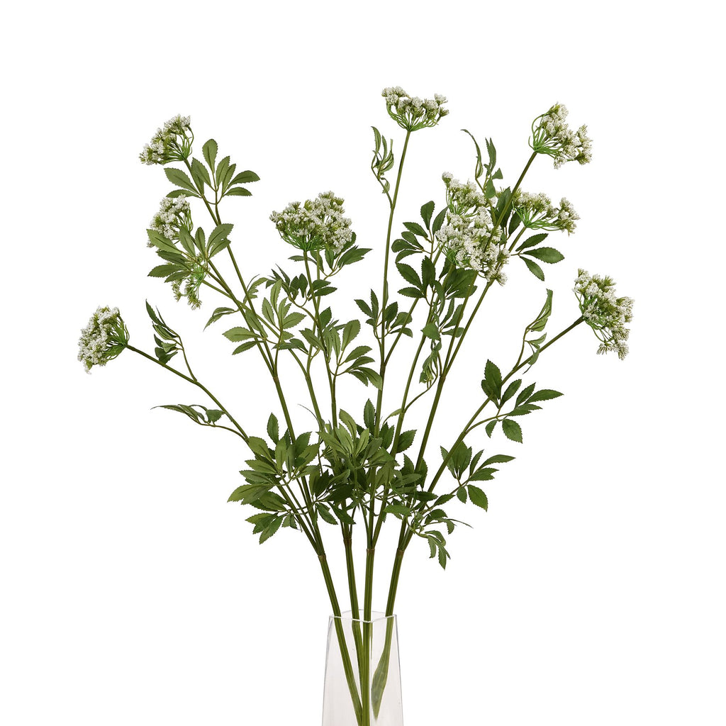 Faux White Cow Parsley Ammi – alternate view 5