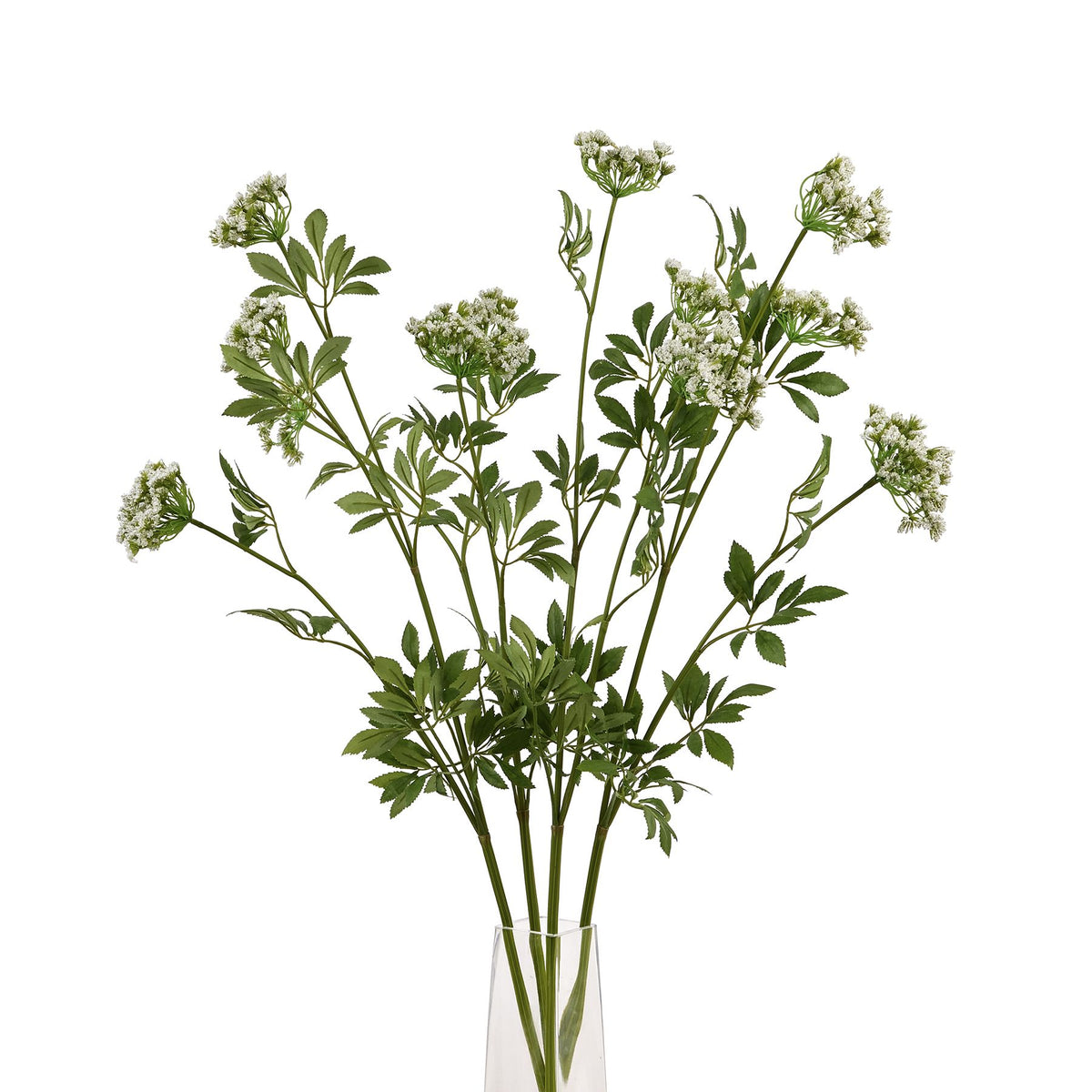Faux White Cow Parsley Ammi – alternate view 5
