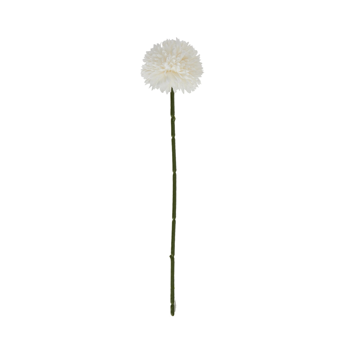 White Short Chrysanthemum – alternate view 3