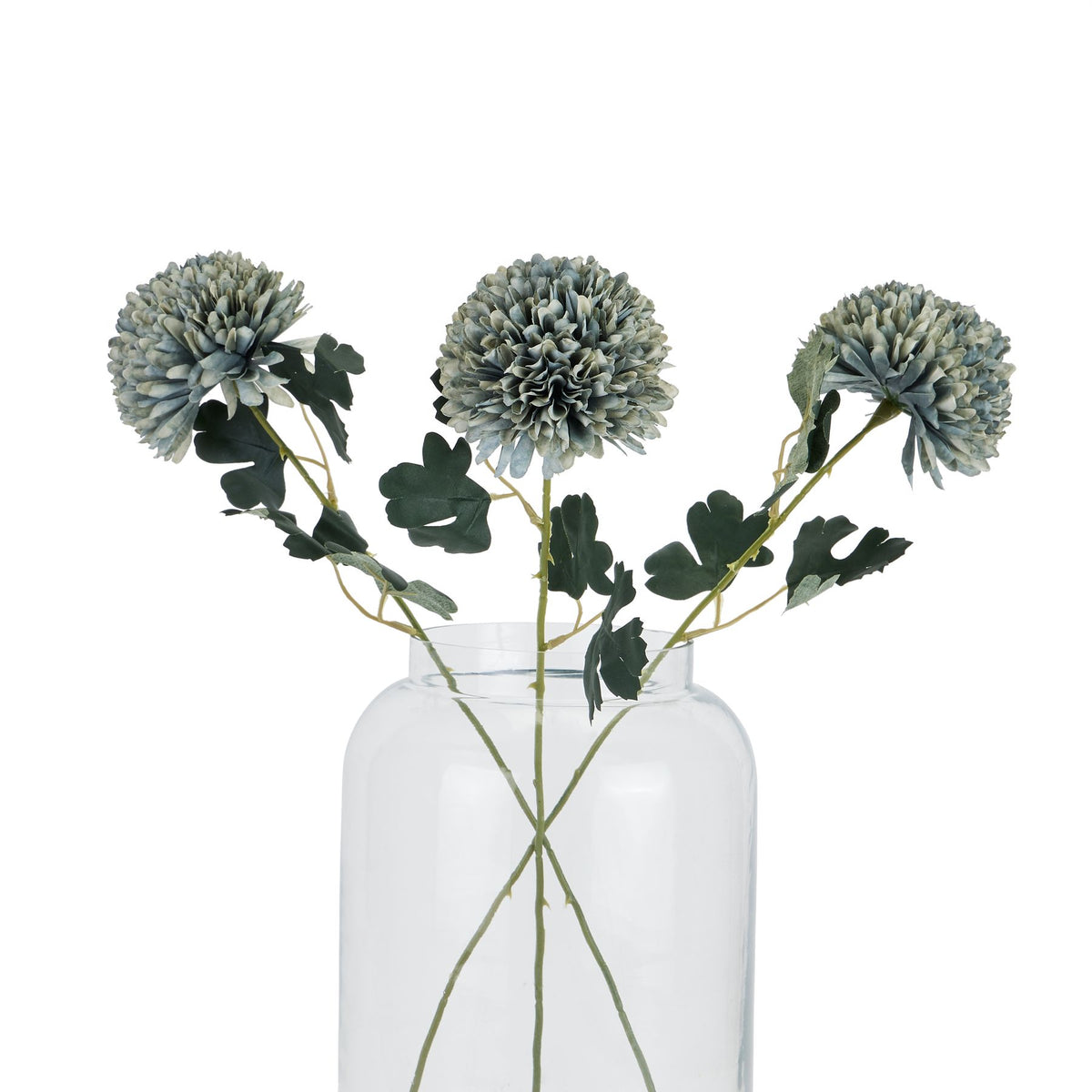 Pale Green Blue Chrysanthemum – alternate view 4