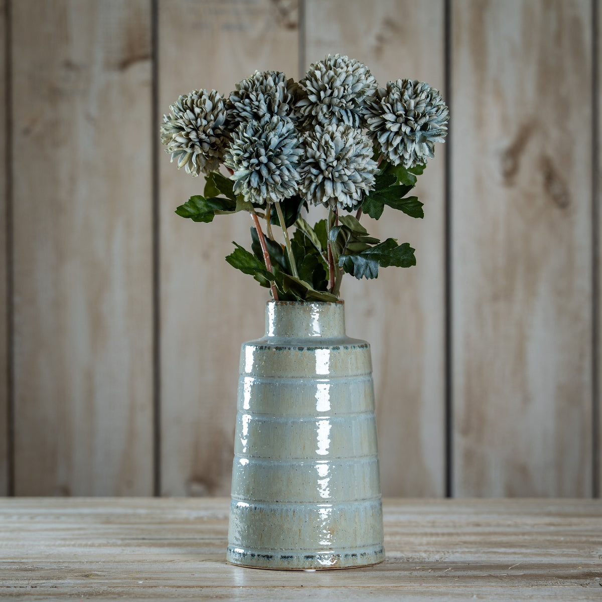 Pale Green Blue Short Chrysanthemum – alternate view 2