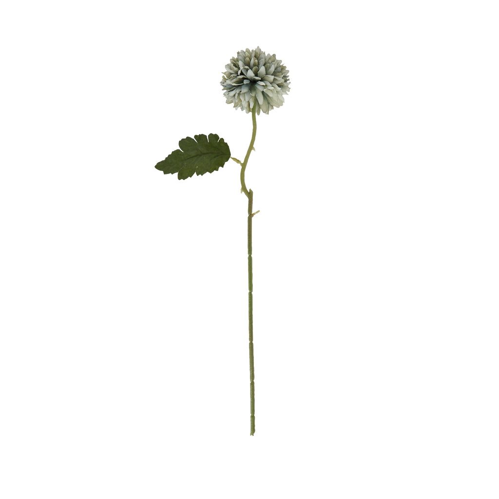 Pale Green Blue Short Chrysanthemum – alternate view 3