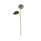 Pale Green Blue Short Chrysanthemum – alternate view 3