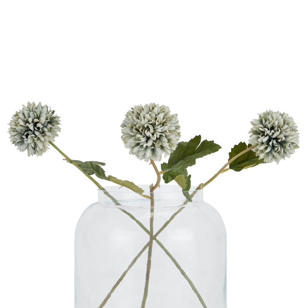 Pale Green Blue Short Chrysanthemum – alternate view 4