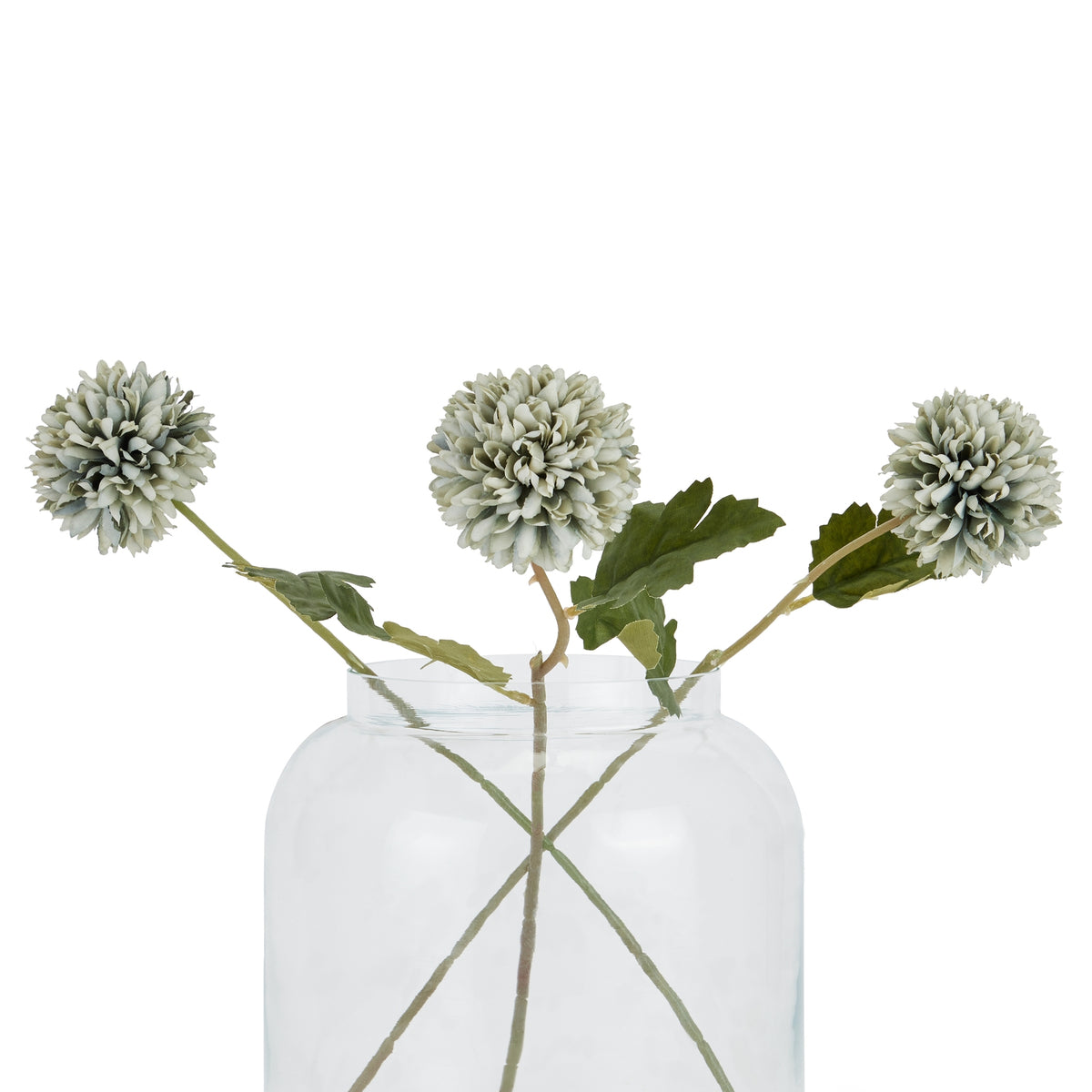Pale Green Blue Short Chrysanthemum – alternate view 4